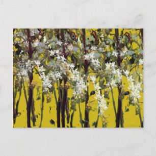 Postal Pequeñas flores blancas