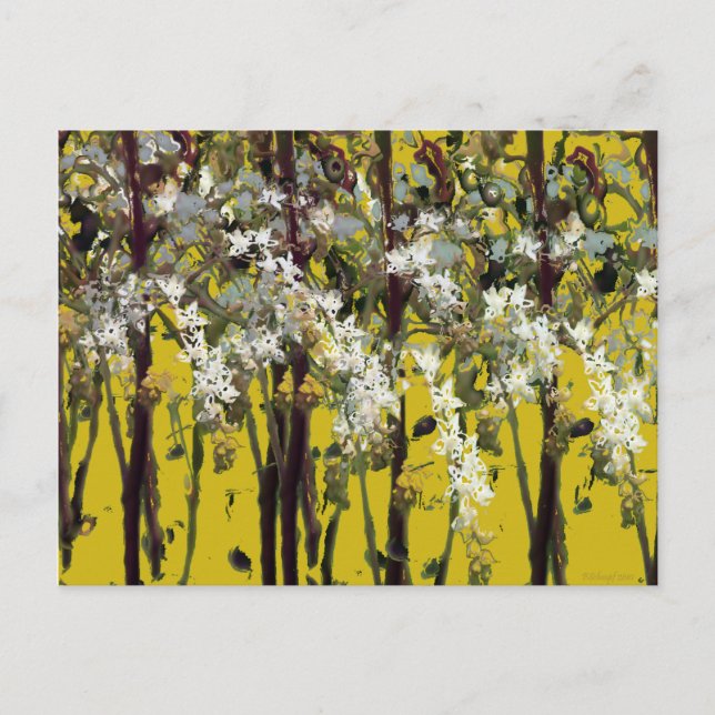 Postal Pequeñas flores blancas (Anverso)