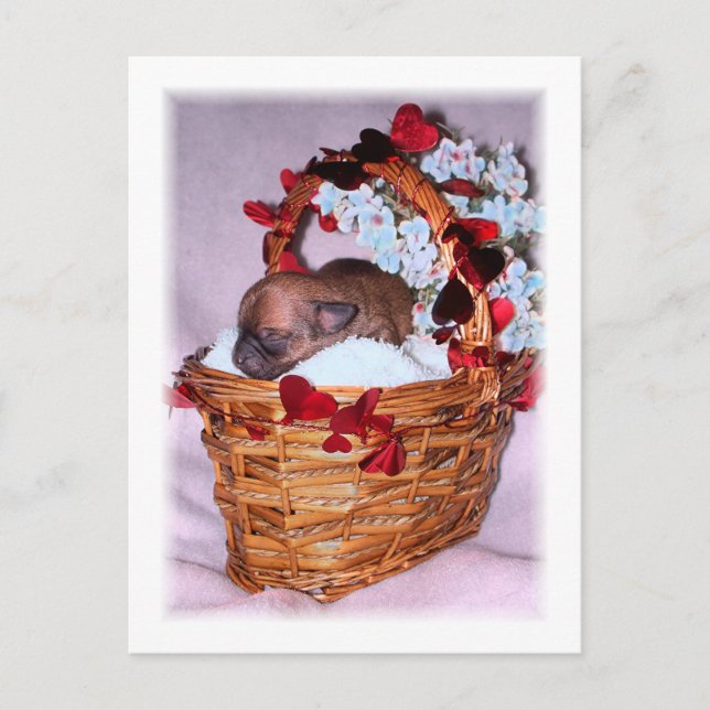 Postal Pequeñas sorpresas (Anverso)