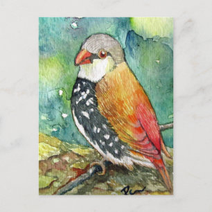 Postal Pequeño Birdy