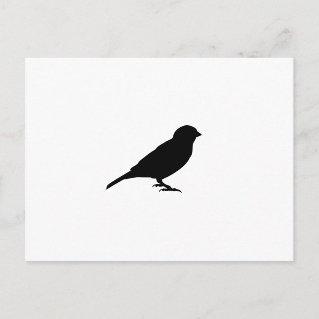 POSTAL PEQUEÑO BIRDY (Anverso)