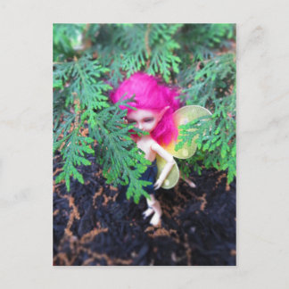 Postal Pequeño Bracken De Oso, Muñeca Asiática Con Balas