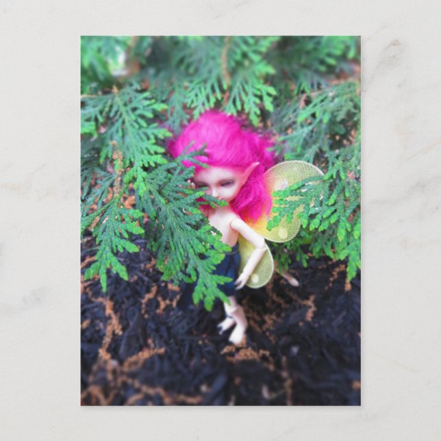 Postal Pequeño Bracken De Oso, Muñeca Asiática Con Balas (Anverso)