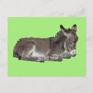 Postal Pequeño burro de chocolate morado dormido en verde