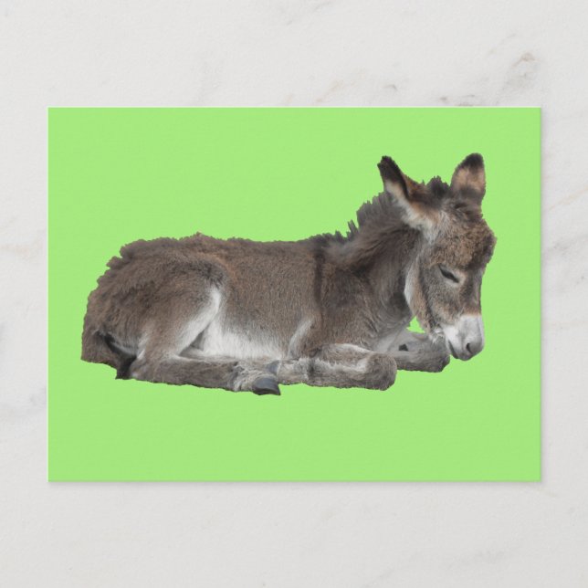Postal Pequeño burro de chocolate morado dormido en verde (Anverso)