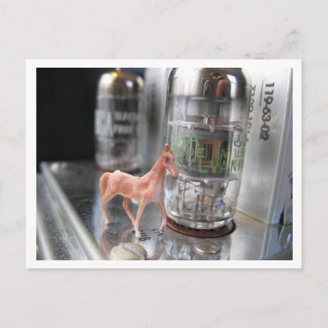 Postal Pequeño caballo en el viejo McIntosh (Anverso)