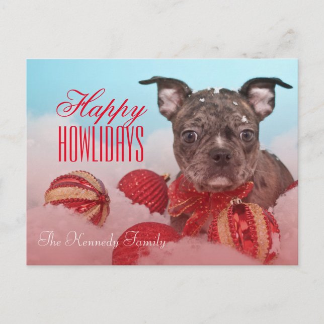 Postal Pequeño cachorro (Anverso)