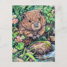 Postal Pequeño castor de Creek Bank