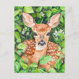 Postal Pequeño ciervo en la pradera exuberante