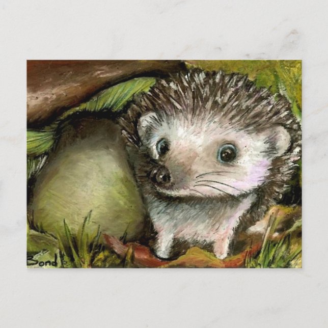 Postal Pequeño erizo (Anverso)