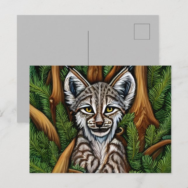 Postal Pequeño Lynx Kitten Adorable (Anverso / Reverso)