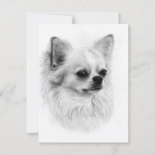 Postal Pequeño observador - Retrato de Chihuahua pintado 
