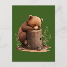 Pequeño Oso Dormido