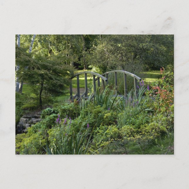 Postal Pequeño puente de madera (Anverso)