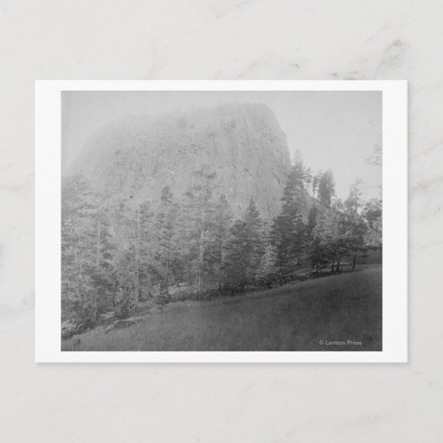 Postal Pequeño yacimiento de marihuana de Missouri y árbo (Anverso)