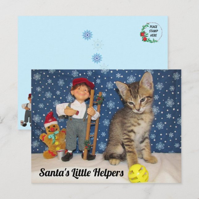Postal Pequeños ayudantes de Santa Claus - Gato y elfo (Anverso / Reverso)