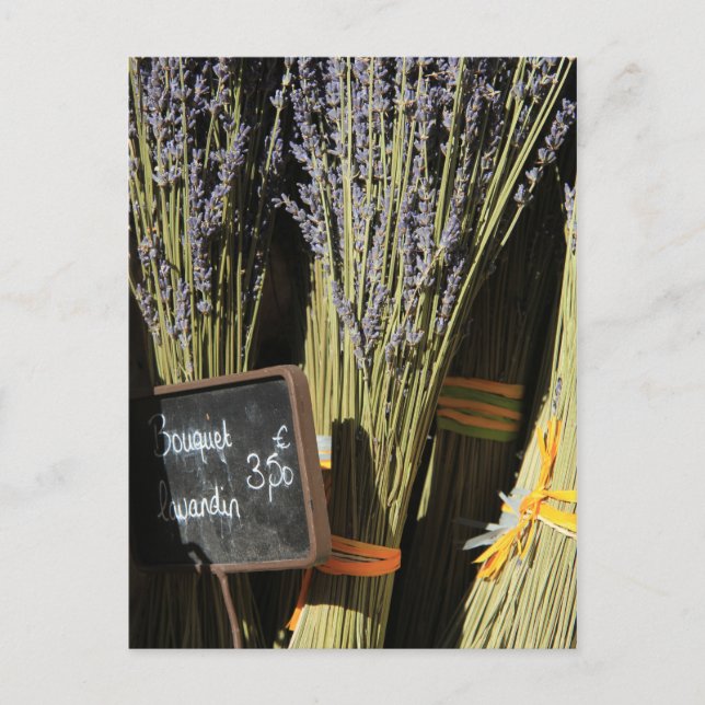 Postal Pequeños ramos de lavanda (Anverso)
