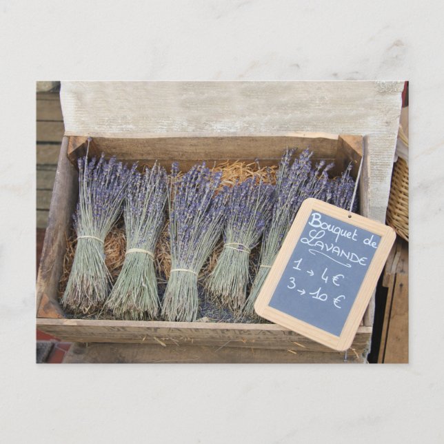 Postal Pequeños ramos de lavanda (Anverso)