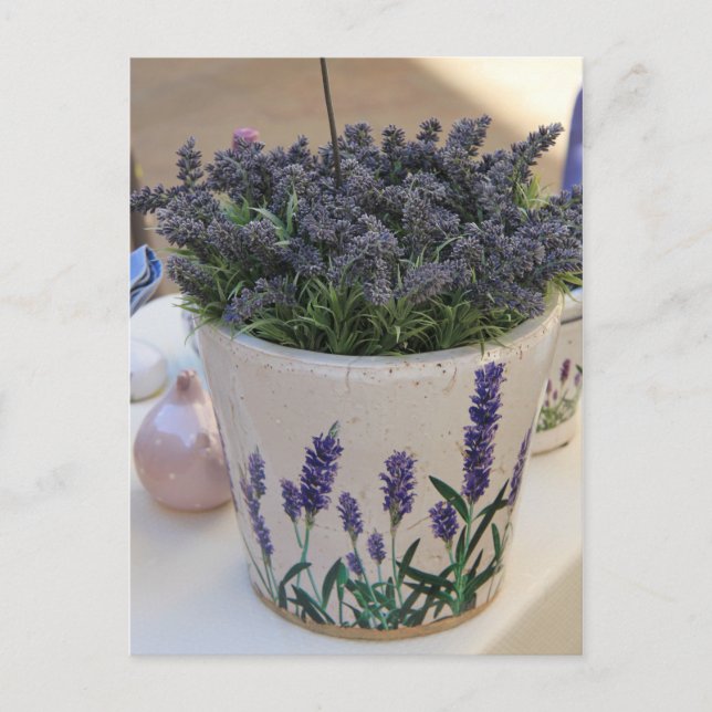 Postal Pequeños ramos de lavanda (Anverso)