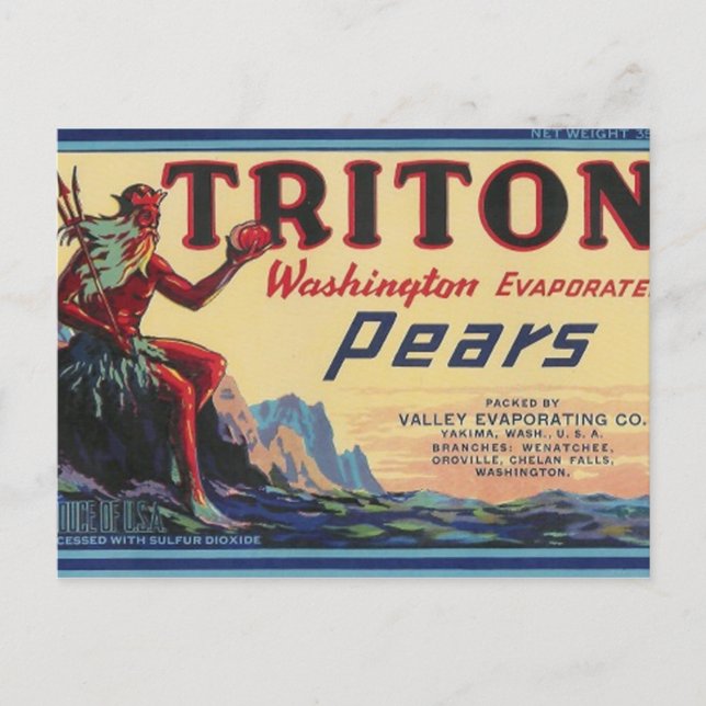 Postal peras triton (Anverso)
