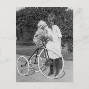 Postal Perca de caniche, 1913