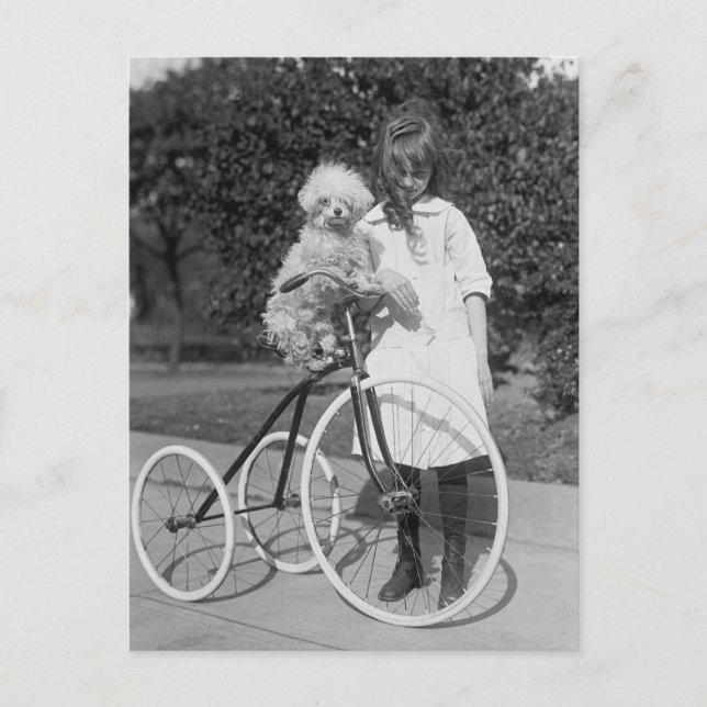 Postal Perca de caniche, 1913 (Anverso)