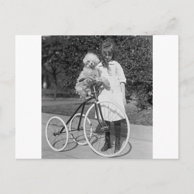 Postal Perca del perro del caniche, 1913 (Anverso)