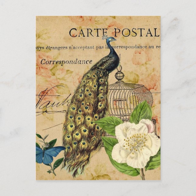 Postal perca vintage camellia bogavante french (Anverso)
