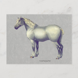 Postal Percheron Horse Equine Art