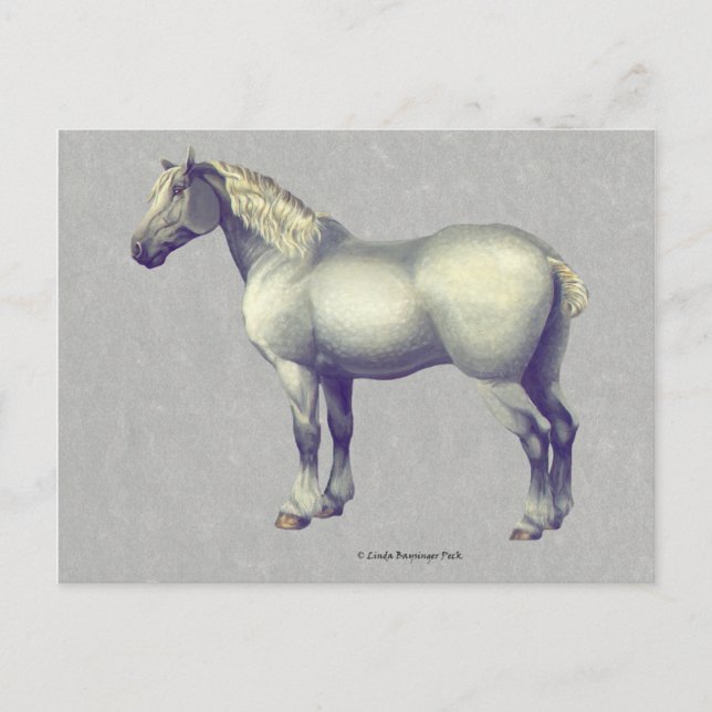 Postal Percheron Horse Equine Art (Anverso)