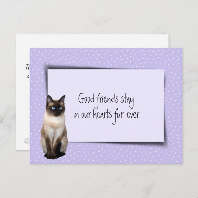 Postal Pérdida de gato siamés de veterinario (Anverso / Reverso)