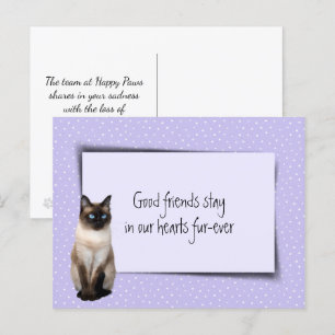 Postal Pérdida de gato siamés por veterinario