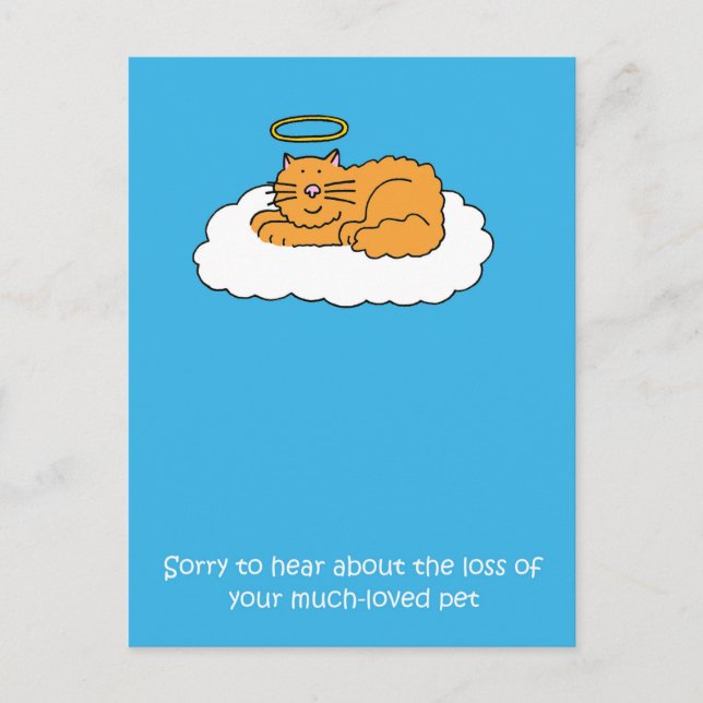 Postal Pérdida de la simpatía del gato Mascota (Anverso)