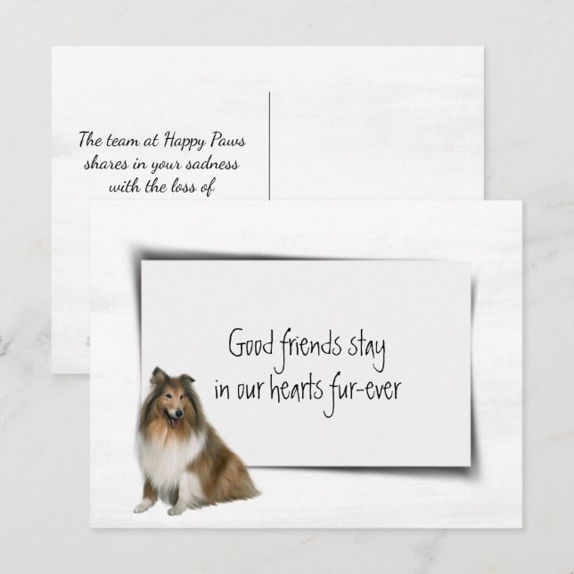 Postal Pérdida de la simpatía del Mascota de Perro Collie (Anverso / Reverso)
