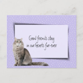 Postal Pérdida de Mascota Gato Gris del Veterinario