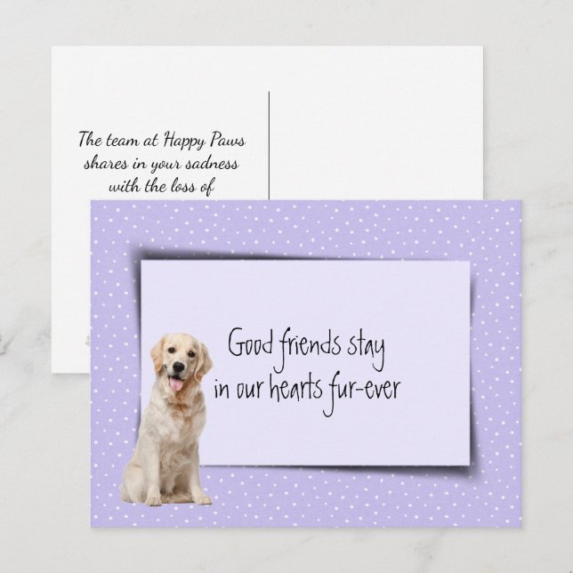 Postal Pérdida de mascota Golden Retriever por parte del  (Anverso / Reverso)