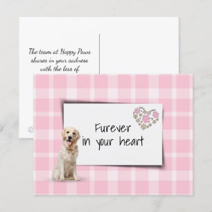 Postal Pérdida de simpatía por mascota Retriever Dorado