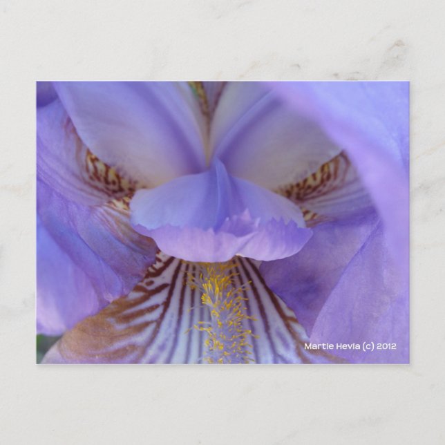 Postal Perdido en un sueño (Anverso)