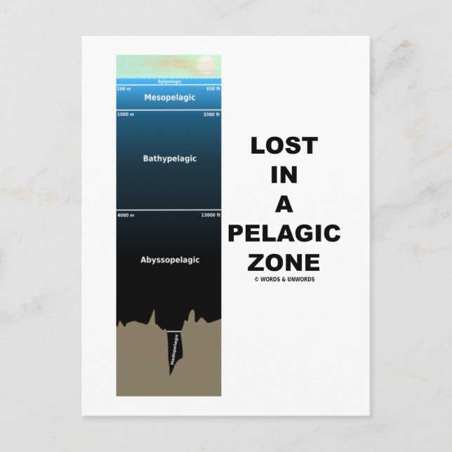 Postal Perdido En Una Zona Pelágica (Humor Oceanográfico) (Anverso)