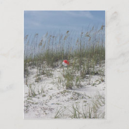 Postal Perdidos en las dunas