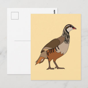 Postal Perdiz Chukar