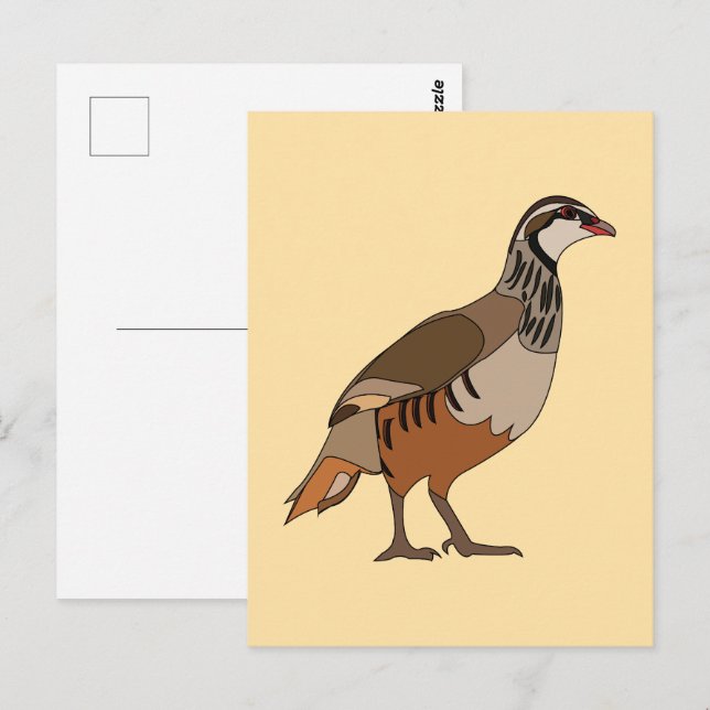 Postal Perdiz Chukar (Anverso / Reverso)