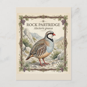 Postal Perdiz Griega ,Alectoris Graeca Aves de Caza