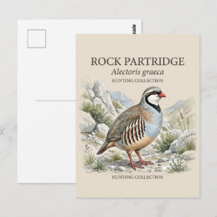 Postal Perdiz Griega ,Alectoris Graeca Aves de Caza