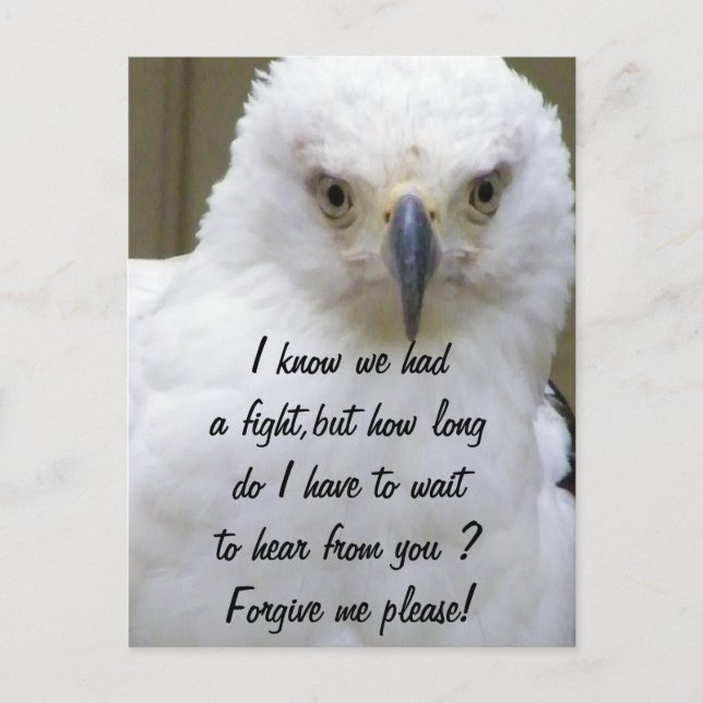 Postal Perdóname_ (Anverso)