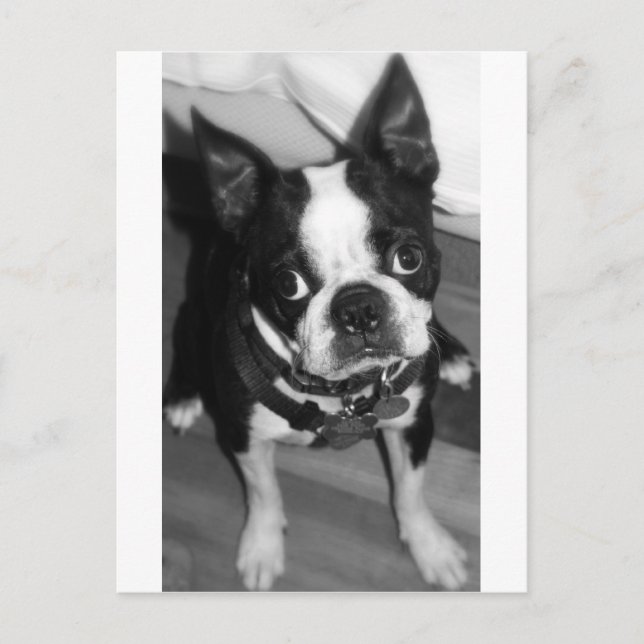 Postal Perdóname (Anverso)