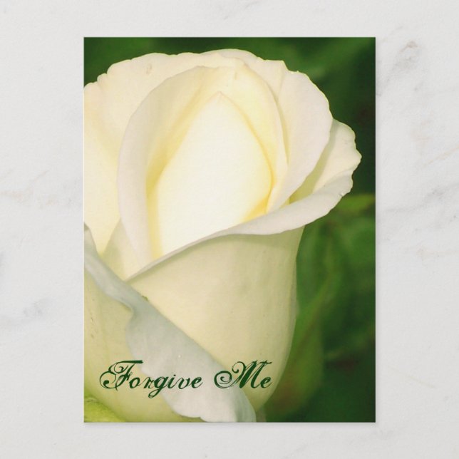 Postal Perdonar/ Cualquier Ocasión_postal (Anverso)