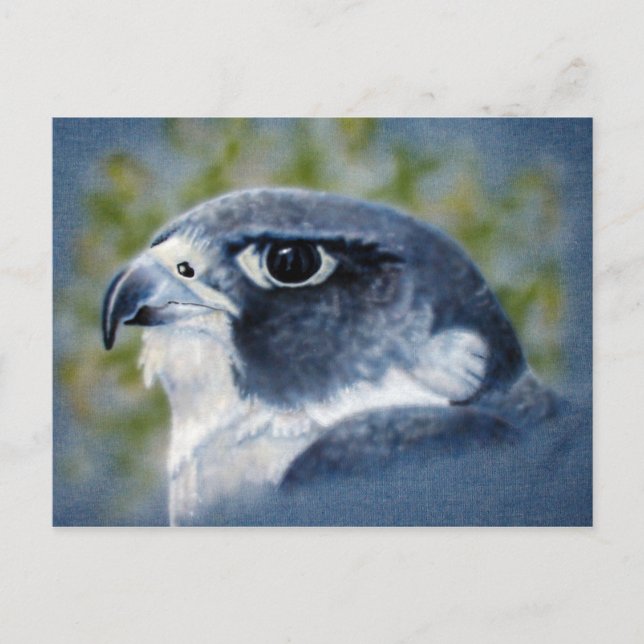 Postal Peregrine-aircepillo (Anverso)