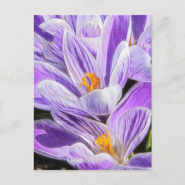Postal Perenne Purple Striped Crocuses (Anverso)