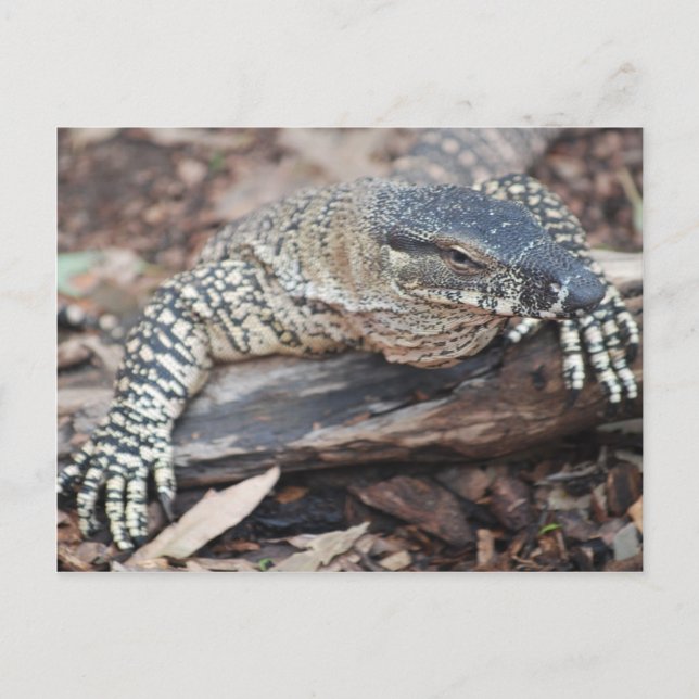 Postal Perenti (Anverso)